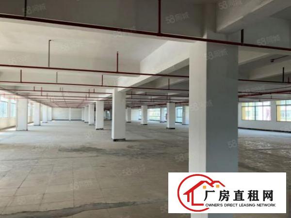  陈屋新空出厂房原房东3层已翻新水电齐全交通便利可分租