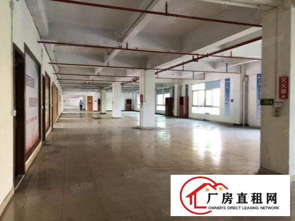  陈屋新空出厂房原房东3层已翻新水电齐全交通便利可分租