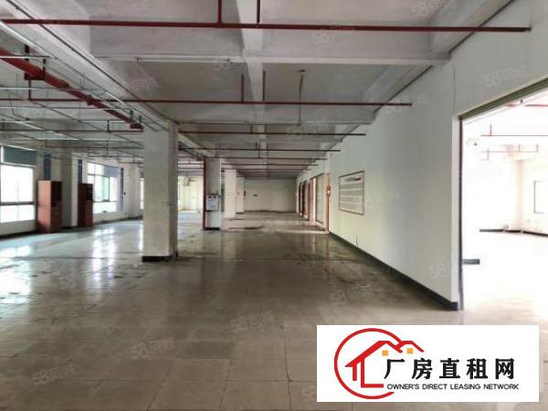  陈屋新空出厂房原房东3层已翻新水电齐全交通便利可分租