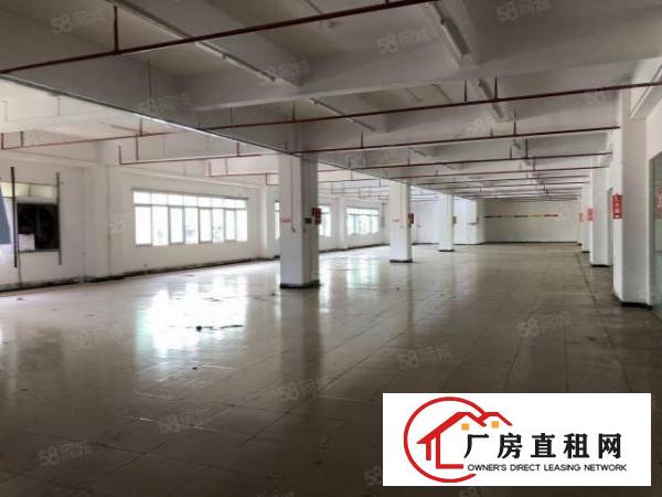 陈屋新空出厂房原房东3层已翻新水电齐全交通便利可分租
