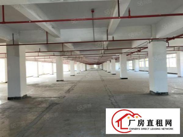  陈屋新空出厂房原房东3层已翻新水电齐全交通便利可分租
