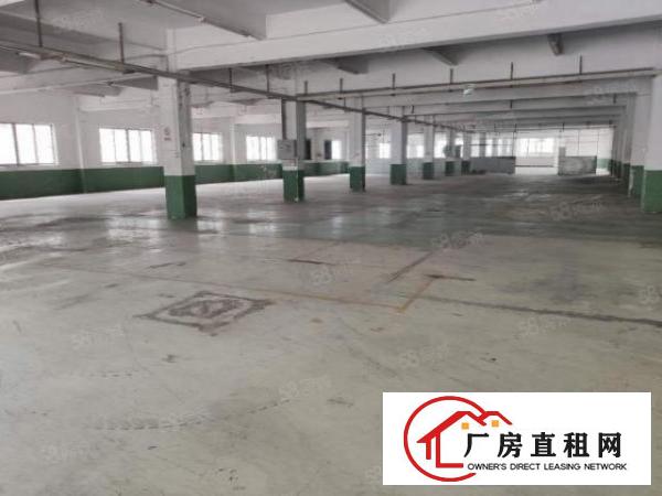  溪头村新处独门独院，厂房空地超大