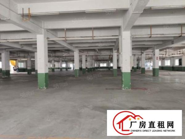  溪头村新处独门独院，厂房空地超大