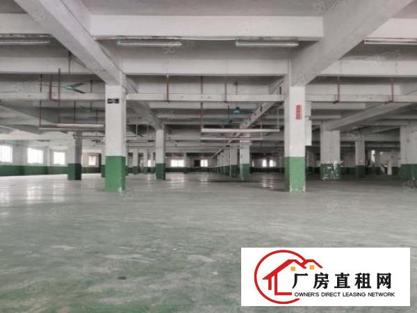  溪头村新处独门独院，厂房空地超大