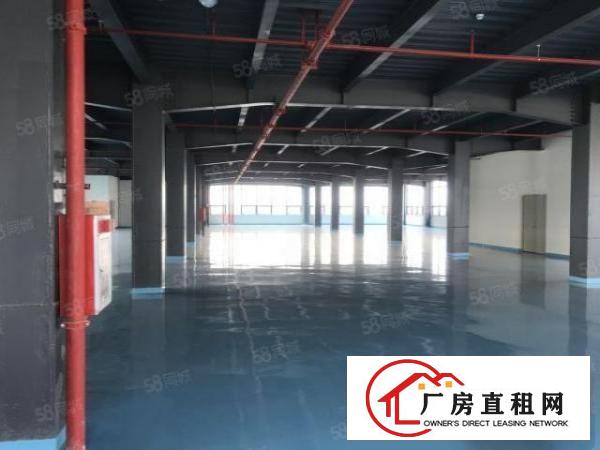  福岗路新出厂房可租1500平，配置齐全方便入住