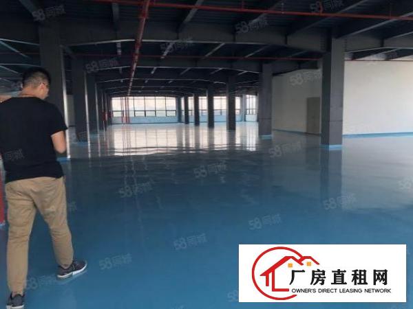  福岗路新出厂房可租1500平，配置齐全方便入住