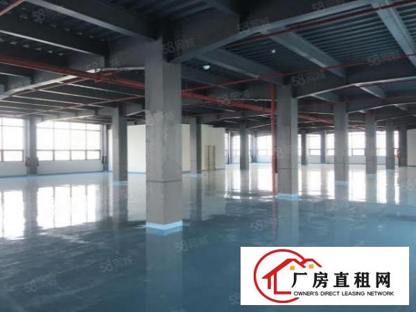  福岗路新出厂房可租1500平，配置齐全方便入住