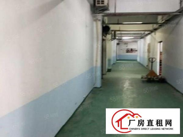  福岗路新出厂房可租1500平，配置齐全方便入住