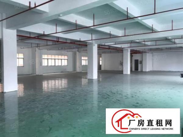  福岗路新出厂房可租1500平，配置齐全方便入住