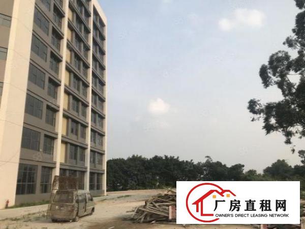  厚街全新厂房单层3860方，带卸货平台，可分租