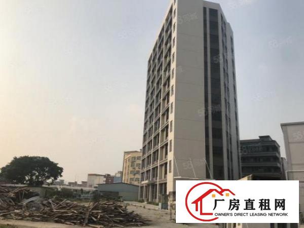  厚街全新厂房单层3860方，带卸货平台，可分租