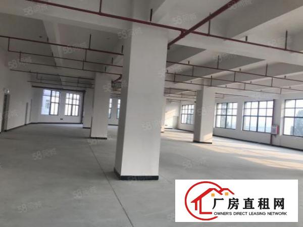  厚街全新厂房单层3860方，带卸货平台，可分租