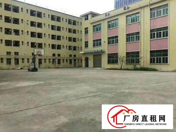  厚街镇双岗新出独门独院现成家具厂15500平米招租