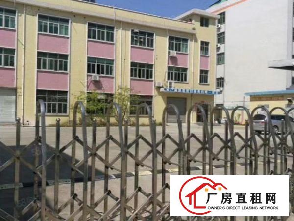  厚街镇双岗新出独门独院现成家具厂15500平米招租
