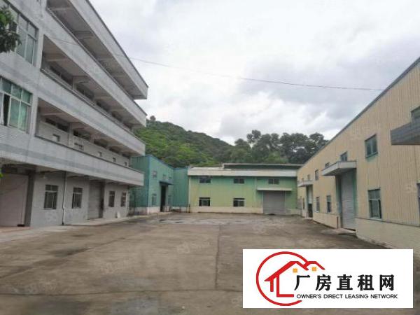 厚街原房东独院厂房出租4500平米，实际面积出租，价格超便宜