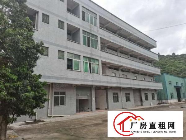 厚街原房东独院厂房出租4500平米，实际面积出租，价格超便宜