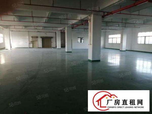  独门独院原房东厂房