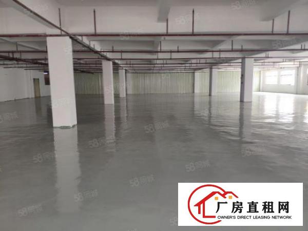  厚街新出原房东楼上1300平全新地坪漆带办公室厂房出租仓库出