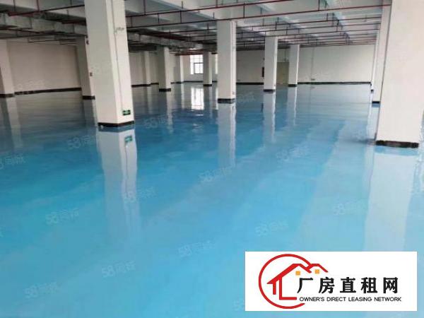  厚街环莞快速旁楼上2000平全新高大尚玻璃墙工业厂房出租