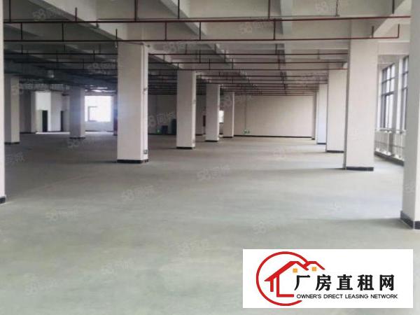  厚街环莞快速旁楼上2000平全新高大尚玻璃墙工业厂房出租