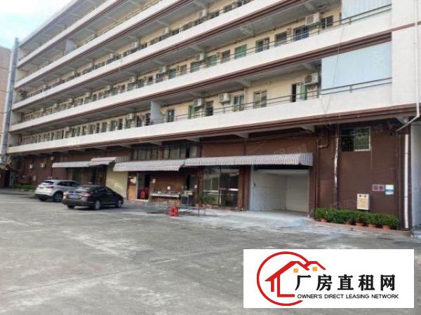  新塘新出标准豪华独院厂房出租，大小可分
