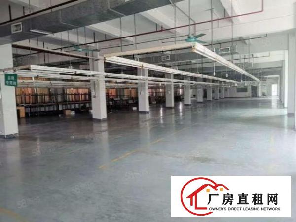  新塘新出标准豪华独院厂房出租，大小可分