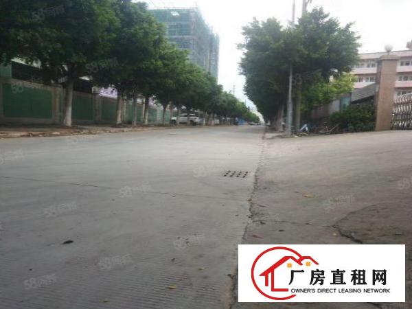  厚街军埔工业区花园式现成成品鞋厂房