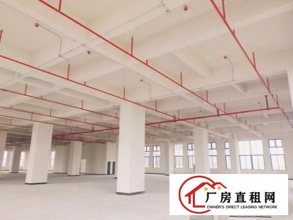  出租！厚街地铁口全新厂房鑫创动力，公摊小，价格10元起