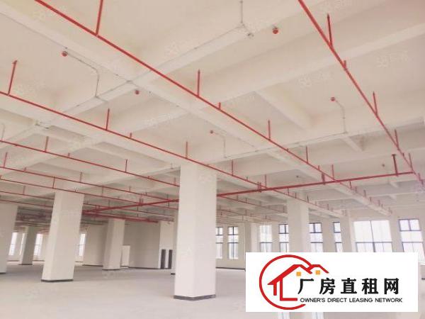  出租！厚街镇宝屯全新工业园区限时特惠火热招租