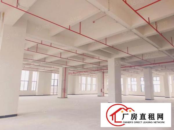  出租！厚街镇宝屯全新工业园区限时特惠火热招租