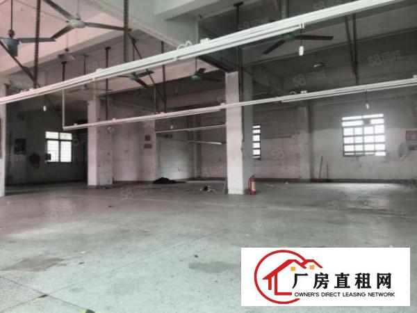  楼上厂房260平，主线到位，水电齐全！只要11.5元！