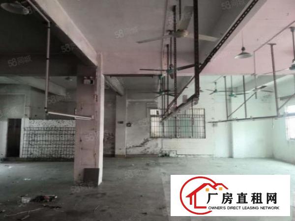  楼上厂房260平，主线到位，水电齐全！只要11.5元！