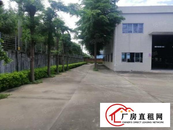  厚街沙塘单一层厂房出租1500平米，带办公室装修，滴水8米
