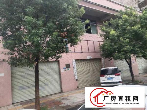  厚街村西环路12楼1400平靠近港口大道