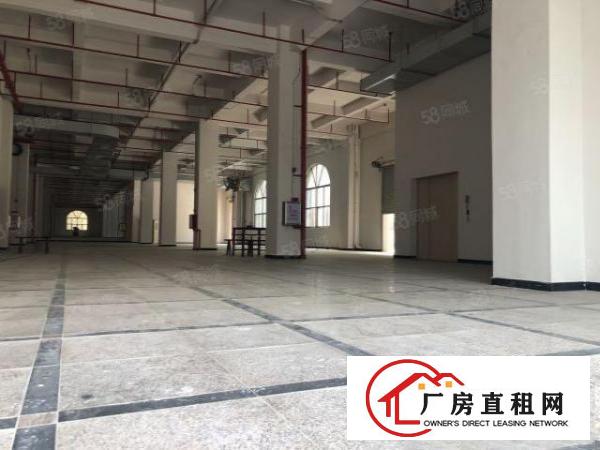  实图（全新工业4.0厂房）厚街楼上2850方独立电梯4台。