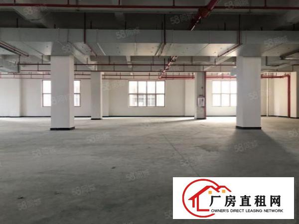  实图（全新工业4.0厂房）厚街楼上2850方独立电梯4台。