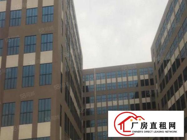  厚街桥头独院厂房出租4200平带宿舍现场办公室