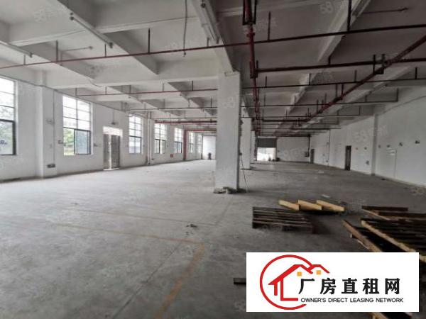  厚街标准一楼厂房800平方行业不限大道边空地大