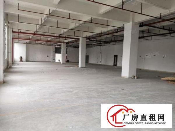  厚街标准一楼厂房800平方行业不限大道边空地大
