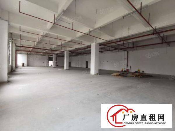  厚街标准一楼厂房800平方行业不限大道边空地大