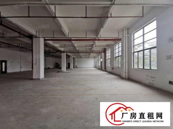  厚街标准一楼厂房800平方行业不限大道边空地大