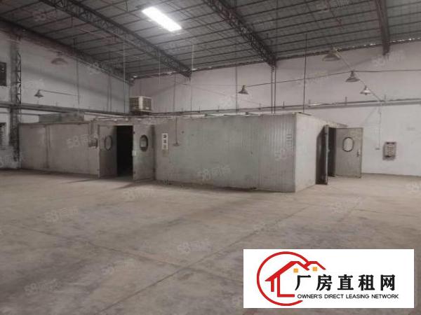  厚街镇双岗4500方独院家具厂房招租，可分租
