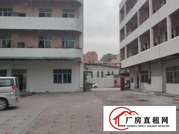  厚街双岗新出精美厂房890平，带有办公室和宿舍，价格优惠