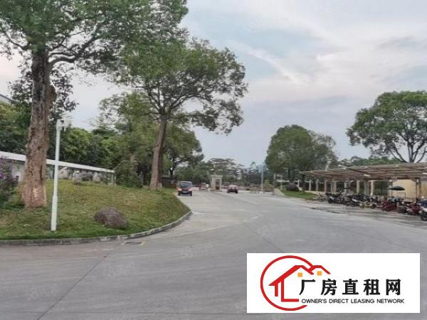  厚街全新工业厂房900平出租空地超大绿化面积广交通方便形象好
