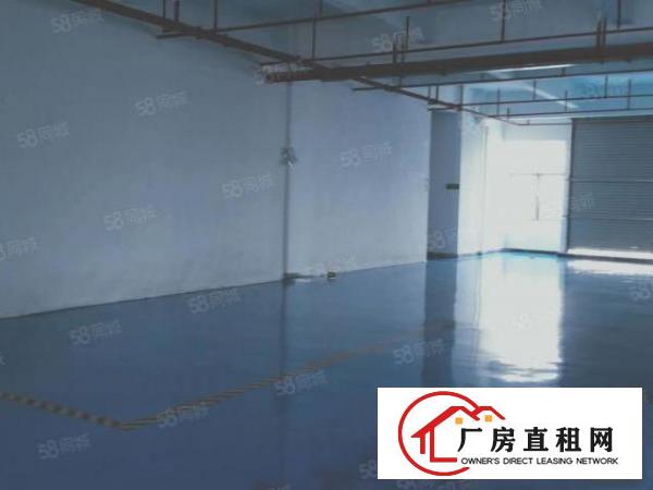  厚街国道附近精装修986平方出租，采光好，水电齐全
