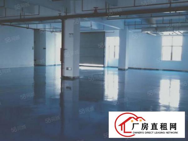  厚街国道附近精装修986平方出租，采光好，水电齐全