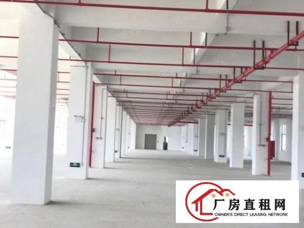  厚街溪头花园式厂房可分租合同9年水电线路已到车间