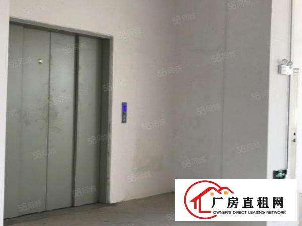  厚街溪头花园式厂房可分租合同9年水电线路已到车间