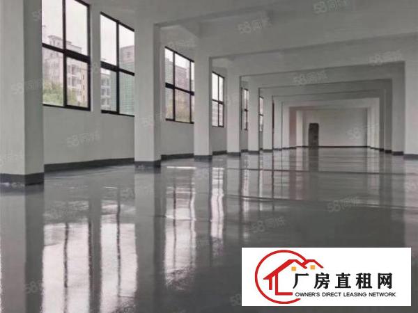  赤岭标准3000平1楼厂房出租可做厂库可分租价格面谈