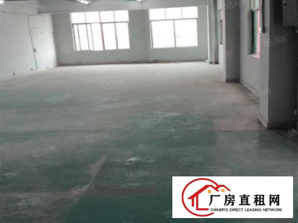  赤岭标准3000平1楼厂房出租可做厂库可分租价格面谈